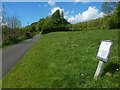Managed grassland beside the cycle path in G82 2TS