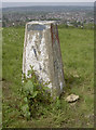 North Hill trig with a view! in BS13 9DZ