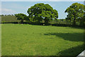Field east of Trusham in TQ13 0NA