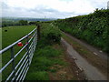 Lane to Bude, near Sticklepath in Sticklepath