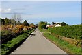 Scotsburn Road approaching Arthurville in IV19 1NH
