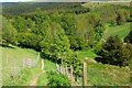 Path below Glenbield in EH45 8BH
