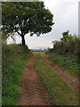 Footpath down  a farm track in HR2 9AT