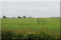 Wheat field near Kingston Stert in OX39 4NL