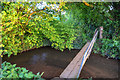 Taunton Deane : Small Stream & Footbridge in Nynehead