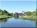 The Cannock Extension Canal, heading north from Pelsall Junction in WS3 5DF