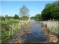 Wyrley & Essington Canal at Pelsall Wood in WS3 5DF