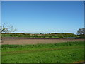 Bare field, north of Little Bloxwich in WS3 3QN