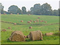 Harvest near Burrows Cross in GU5 9PD