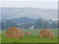 Hay Bales by Burrows Cross in GU5 9PD