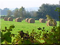 Hay Bales by Burrows Cross in GU5 9PE
