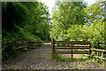 Two gates in Frankmarsh wood in EX31 4JG