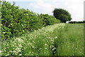Footpath towards Evenley Farm in Evenley