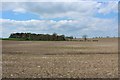 Arable field north of Rudchester farm in NE15 0JA