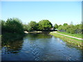 Wyrley & Essington Canal at Birchills Old Stop in WS2 7FB