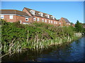 Canalside housing, Water Reed Grove in WS3 2PY