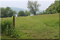Field north of Pentre-waun Wood in NP4 0TH