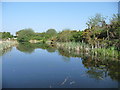 The Wyrley & Essington Canal, looking west in WV12 4SA