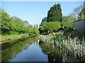 Overflow weir, Wyrley & Essington Canal in WV12 5UT