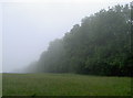Backwell Hill in the mist in BS48 3JF