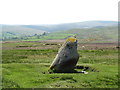 The Cop Stone in Askham