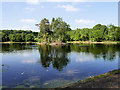 Queen's Park Lake, Heywood in OL10 4JB