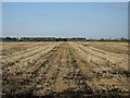 Stubble below sea-level in IP28 8EQ