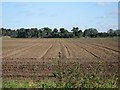 Ploughed field at Harlequin Farm in IP28 8DS