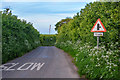 Taunton Deane : Country Road in Nynehead