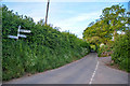 Taunton Deane : Country Lane in Nynehead