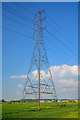Sedgemoor : Grassy Field & Pylon in TA6 4AP