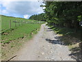 Bridleway track leaving the B4518 near Llidiarddau in SY18 6JW