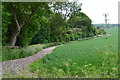 Field edge at King's Somborne in SO20 6PW