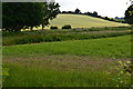 View across fields near Up Somborne in SO21 2PH
