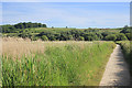 Path through Lodmoor Nature Reserve in DT3 6HY