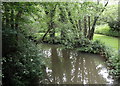 Cuckmere River near Hellingly in BN27 4EY