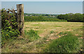 Field by Chapple Cross in EX19 8QU