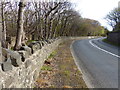 Wall along the A198 at Harestanes Wood in EH32 0PY
