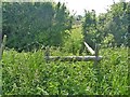 Overgrown stile [2] in SN11 0PX