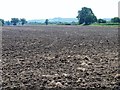 Across the ploughed field in SN11 0PX