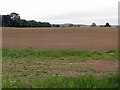 Ploughed field near Broom House in NE61 4AT