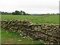 Field wall near Topley in NE61 4AT