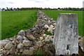 Trig point on wall, Newmore in IV6 7RG