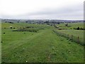 Bridleway south-west of Fawns in NE19 2SN