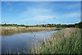 Lake and Reeds, Radipole Reserve in DT4 7RA