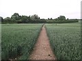 Footpath from Desford to Kirkby Mallory in Newbold Verdon with Desford and Peckleton Ward