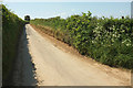 Lane to Gribble in EX38 8QR