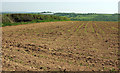 Field near Higher Hollam in EX38 8QR