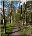 John Muir Way at Harestanes Wood in EH32 0BF