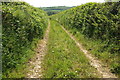 Track to Coombe Farm in EX38 8JR